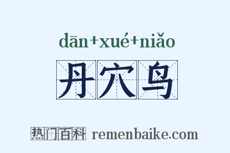 丹穴鸟是什么意思的图片